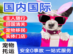 永州零陵机场空运国际宠物托运 【国